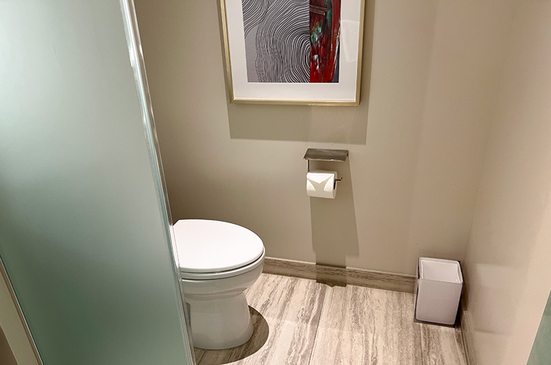 toilet in room