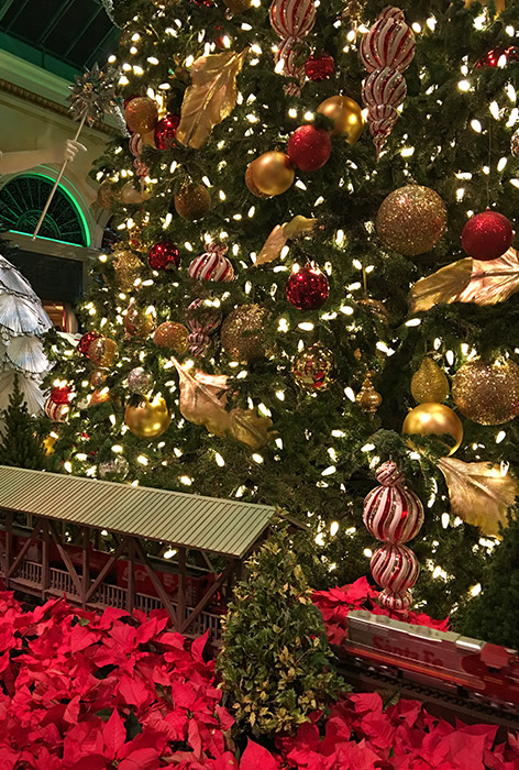 a toy train passes through tunnel amidst poinsettia leaves in front of Christmas tree