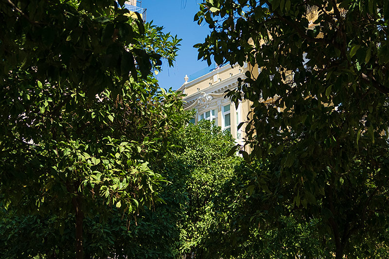 Jardin Generalitat close sharp