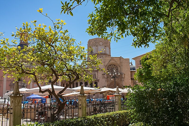 Jardín de la Generalita Valencia