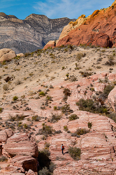 A lone hiker looks tiny against the mountainous landscape of Red Rock Canyon. In the foreground are striped red boulders. Beyond that, a stretch of sandy earth. And in the distance, Red Rock's red and tan mountains meet the gray striped mountains.