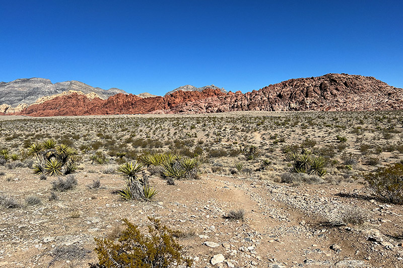 View from Moenkopi Trail at Red Rock. In the foreground, a rocky, plant-dotted desert floor. In the background, three different mountain ranges of Red Rock meet.