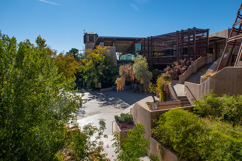 A wide shot of the plants and architecture of Springs Preserve. A building sits in the back, stairs wind down on the right side, there is an open walkway in the center, and trees in greens and yellows surround it.