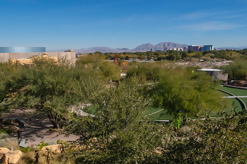 The view from the balcony of the Springs Preserve cafe. The green trees and buildings of the Preserve stand in front. Mountains stretch across the skyline in the background.