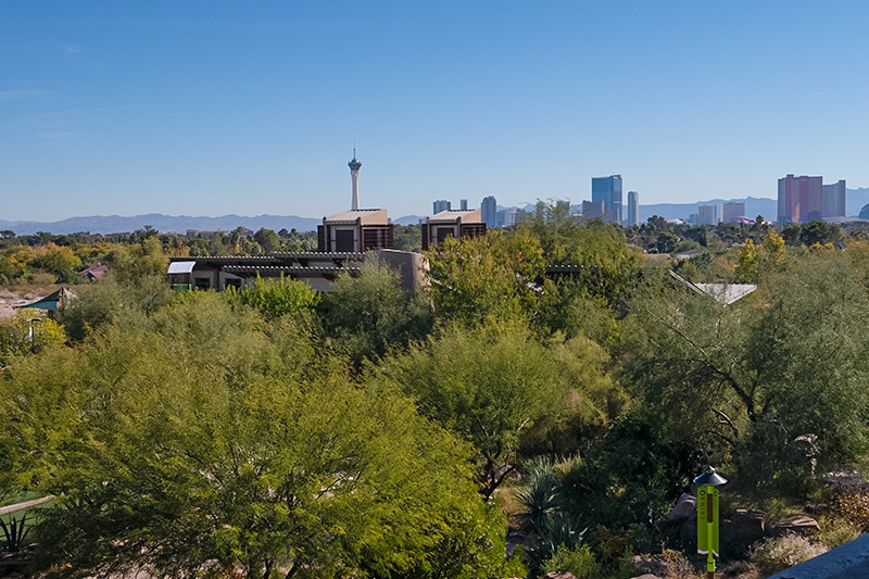 The view from the balcony of the Springs Preserve cafe. The green trees of the Preserve stand in front. In the background, the buildings of the Las Vegas Strip, including the Stratosphere, fill the skyline.