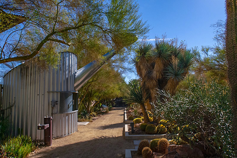 A path cuts through the cactus garden at Springs Preserve. On the left, a large watering can, which is a seasonal concession stand, stands amongst the trees.