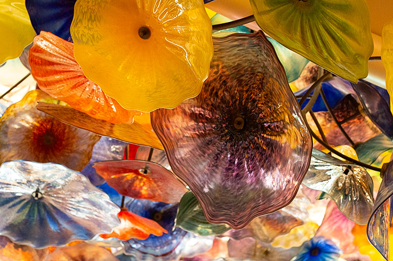 Bellagio Chihuly close