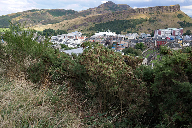 Salisbury Crags from Calton